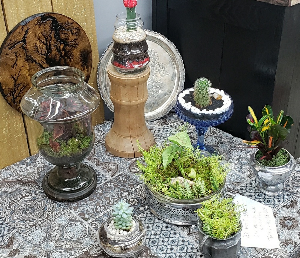 Handmade small sized terrariums. - Picture 1 of 3